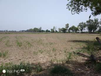 Commercial Land 1 Acre For Resale In LudhianA Chandigarh Hwy Mohali 5469181