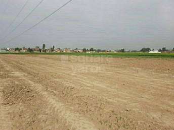 Commercial Industrial Plot 1240 Sq.Yd. For Resale In Dera Bassi Mohali 5471513