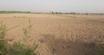  Plot For Resale in Sector 97 Faridabad 5473116