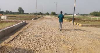  Plot For Resale in Faizabad Road Lucknow 5474415