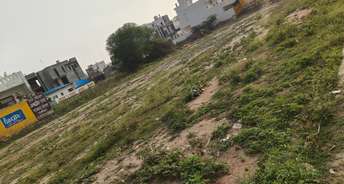  Plot For Resale in Sector 13 Panipat 5476358