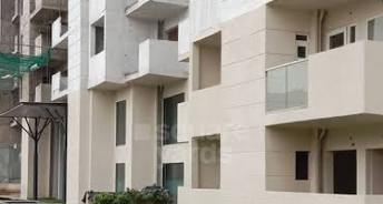 3 BHK Apartment For Resale in Tulip Yellow Sector 69 Gurgaon 5478210