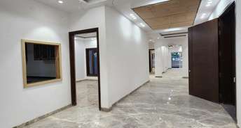 3 BHK Builder Floor For Resale in Shanti Kunj Delhi 5479758