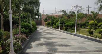  Plot For Resale in Sector 78 Faridabad 5485996