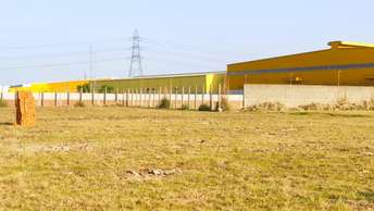 Commercial Industrial Plot 1210 Sq.Yd. For Resale In Sikri Faridabad 5486680