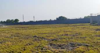 Commercial Industrial Plot 1210 Sq.Yd. For Resale In Softa Faridabad 5486688