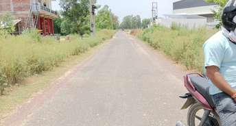 Commercial Land 2700 Sq.Ft. For Resale In Arya Nagar Lucknow 5490718