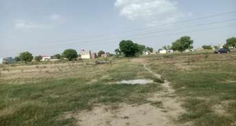  Plot For Resale in Sikri Faridabad 5491651