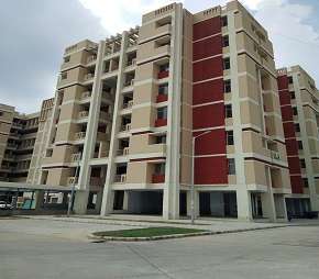 2 BHK Apartment For Resale in DDA Flats Vasant Kunj Vasant Kunj Delhi 5495711