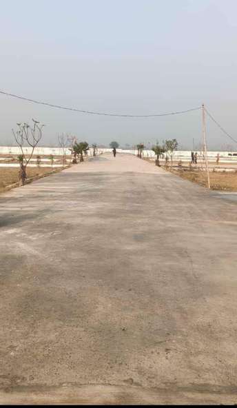  Plot For Resale in Sector 10 Greater Noida 5499842