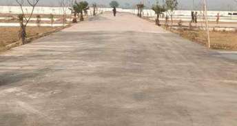  Plot For Resale in Sector 10 Greater Noida 5499842