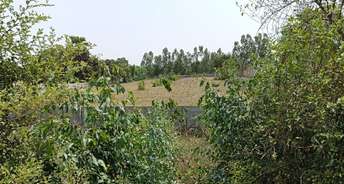 Commercial Land 27000 Sq.Ft. For Resale In Mohan Road Lucknow 5501352