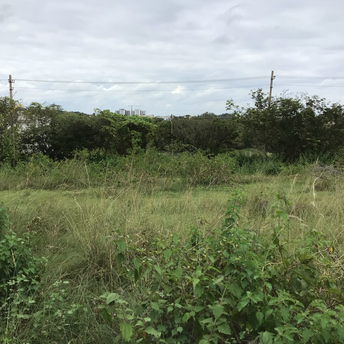Commercial Land 63 Acre For Resale In Talaghattapura Bangalore 5502932