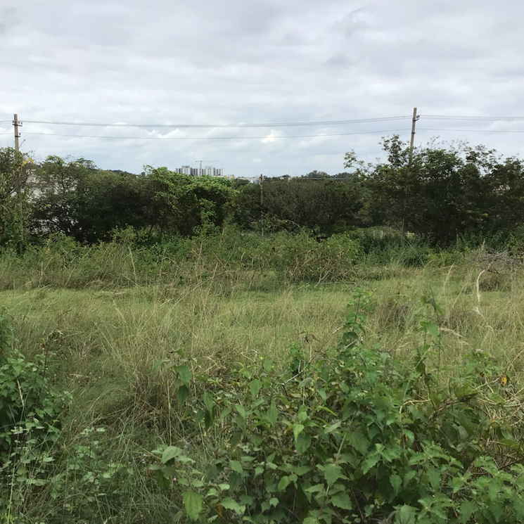 Commercial Land 63 Acre in Talaghattapura Bangalore