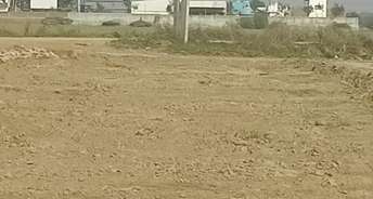 Commercial Industrial Plot 500 Sq.Yd. For Resale In Sikri Faridabad 5503620