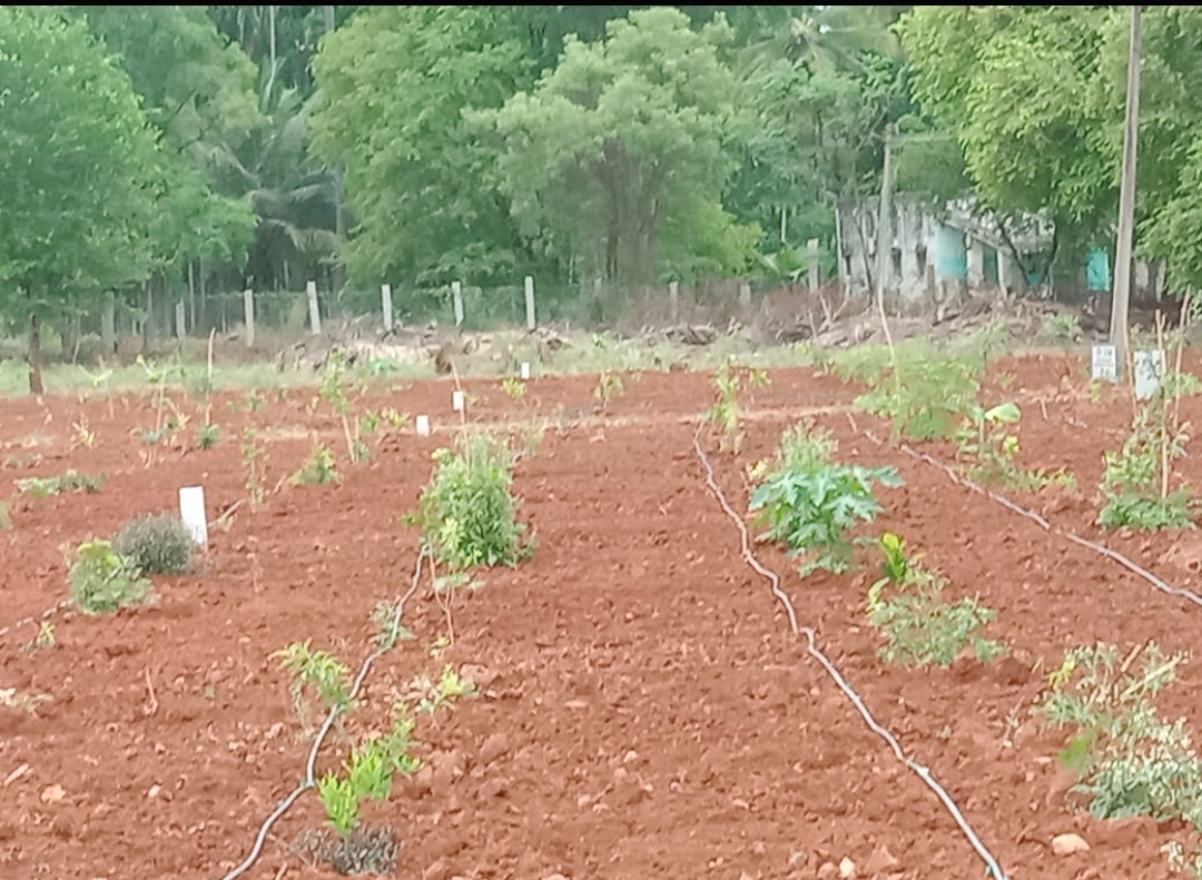 Resale 654 Sq.Ft. Plot in Govindapura Bangalore 5503731