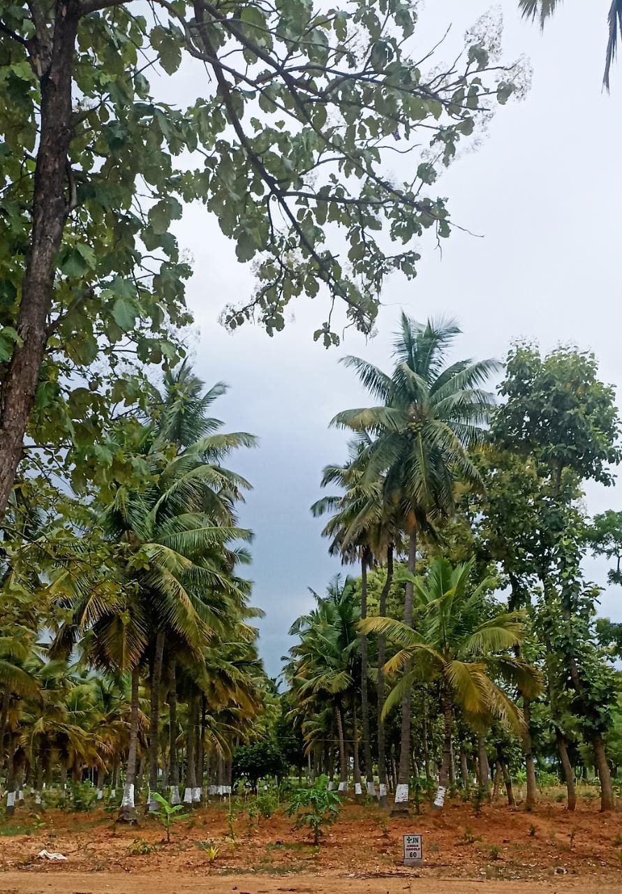 Resale 654 Sq.Ft. Plot in Govindapura Bangalore 5503731