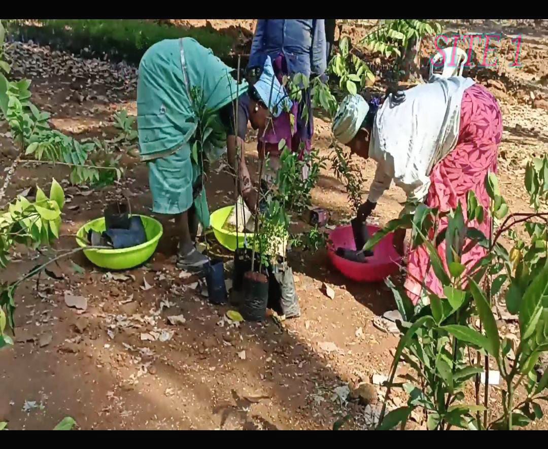 Resale 654 Sq.Ft. Plot in Govindapura Bangalore 5503731