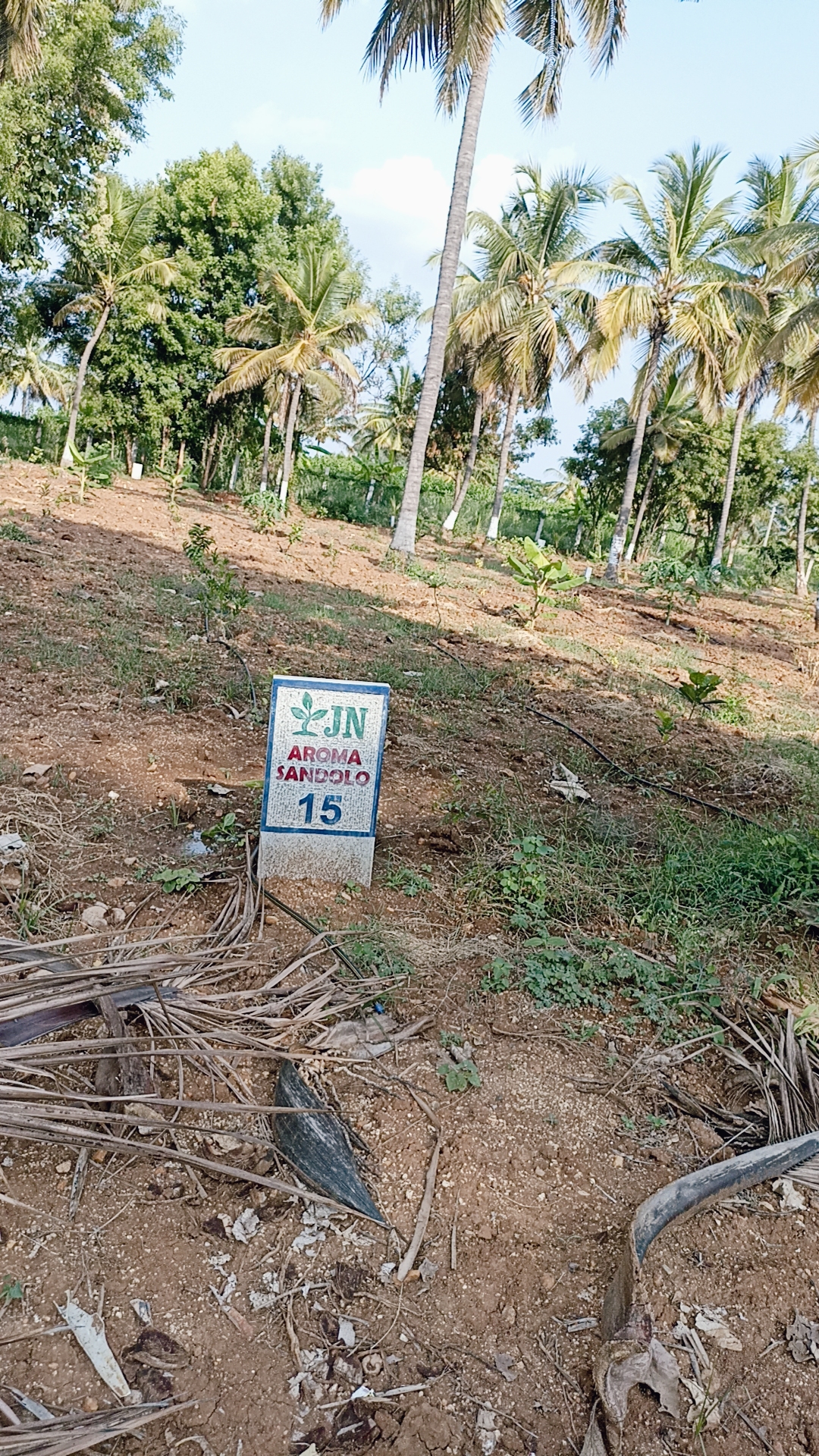 Resale 654 Sq.Ft. Plot in Govindapura Bangalore 5503731
