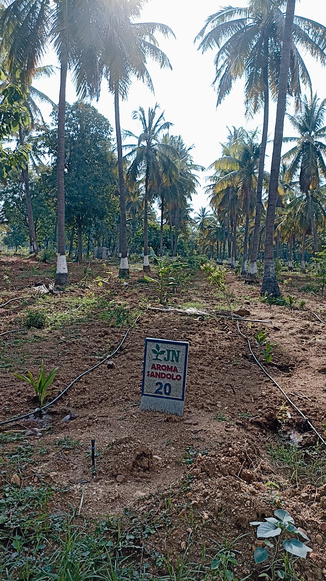 Resale 654 Sq.Ft. Plot in Govindapura Bangalore 5503731