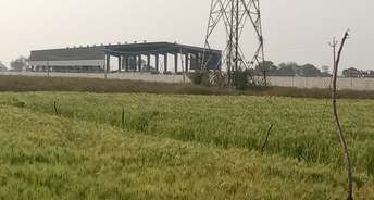 Commercial Industrial Plot 1212 Sq.Yd. For Resale In Pirthla Faridabad 5503742