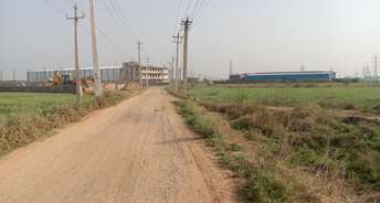 Commercial Industrial Plot 999 Sq.Yd. For Resale In Mathura Road Faridabad 5504037