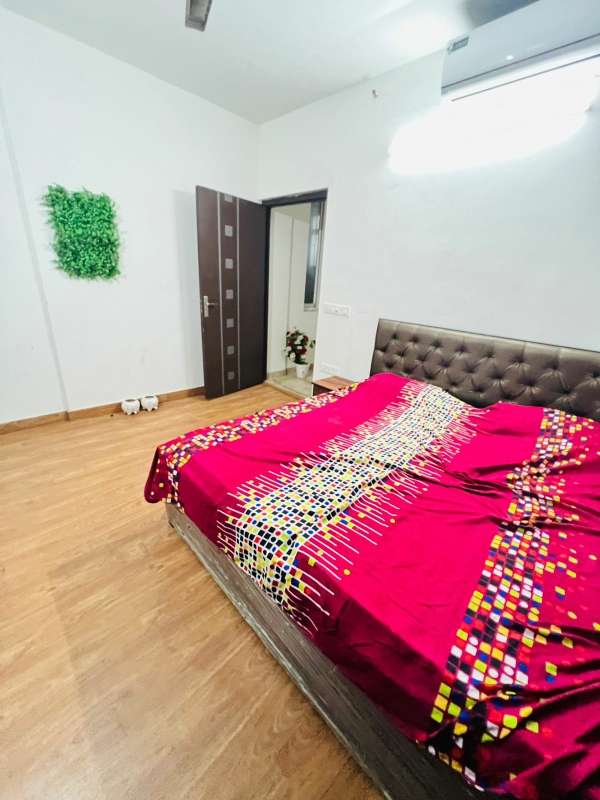 3 Bedroom 1369 Sq.Ft. Builder Floor in Sainik Colony Faridabad