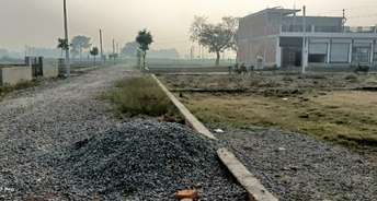  Plot For Resale in Sultanpur Road Lucknow 5508539