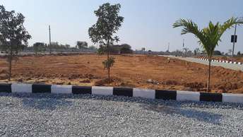  Plot For Resale in Jangaon Hyderabad 5510625