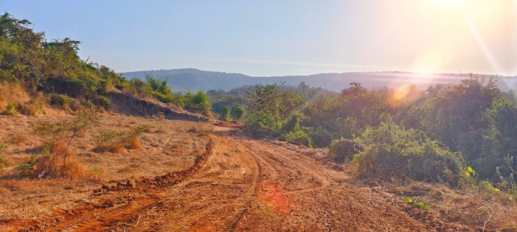 Nearby, mangaon  10000 Sq.Ft. Plot In Mangaon Raigad 5513893