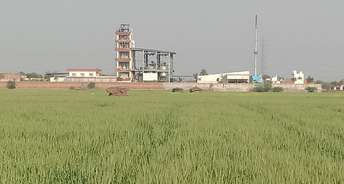 Commercial Industrial Plot 800 Sq.Yd. For Resale In Palla Faridabad 5515626