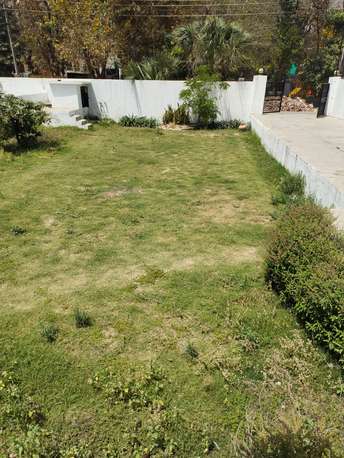  Plot For Resale in Sector 23 Gurgaon 5515970