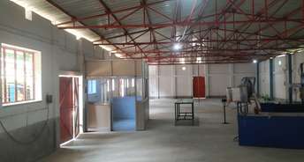 Commercial Warehouse 3600 Sq.Ft. For Rent In Basanti Highway Kolkata 5516882