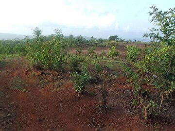  Land – Exterior View View at Dapoli - for Sale