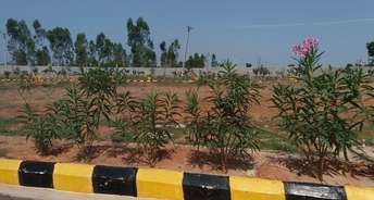  Plot For Resale in Anekal Bangalore 5519860