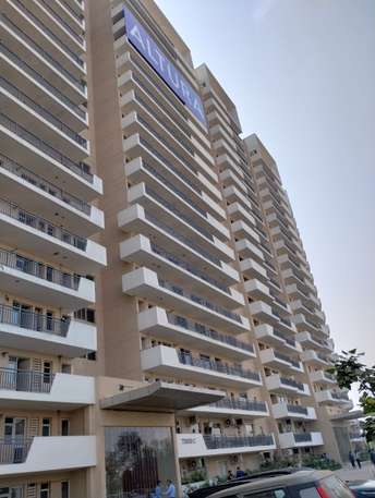 4 BHK Apartment For Resale in Sector 22b Gurgaon 5519933