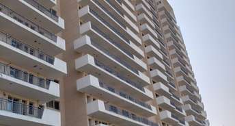 4 BHK Apartment For Resale in Sector 22b Gurgaon 5519933