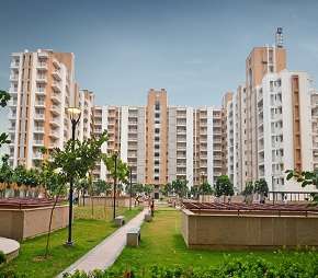 2 BHK Apartment For Resale in Puri Pratham Sector 84 Faridabad 5521208