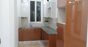 2 BHK Apartment For Resale in Vasant Kunj Delhi 5523033