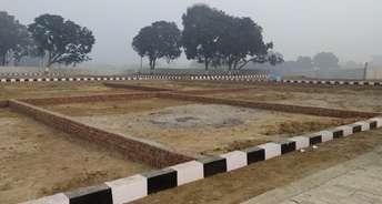  Plot For Resale in Banthra Sikander Pur Lucknow 5523048