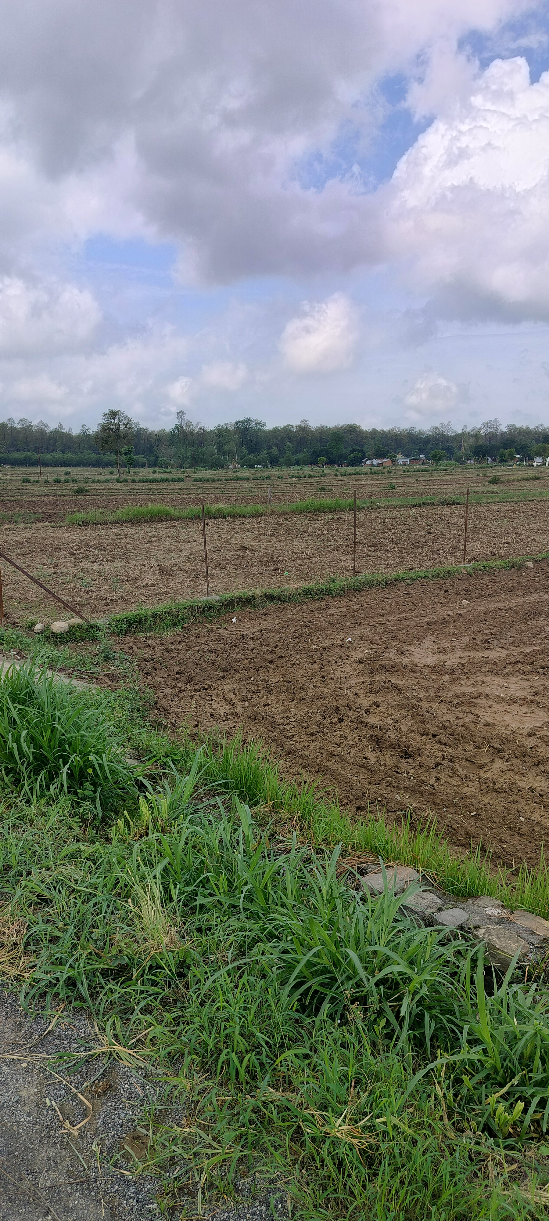 Resale 500 Sq.Yd. Plot in Kotabagh Nainital 5523169