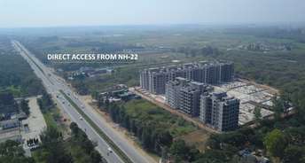 2 BHK Apartment For Resale in Steel Strips Towers Central Derabassi Chandigarh 5523254