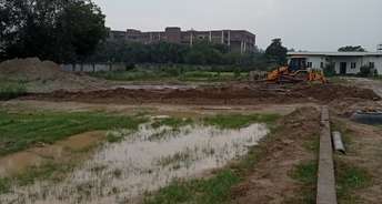  Plot For Resale in Sector 16 Sonipat 5525409