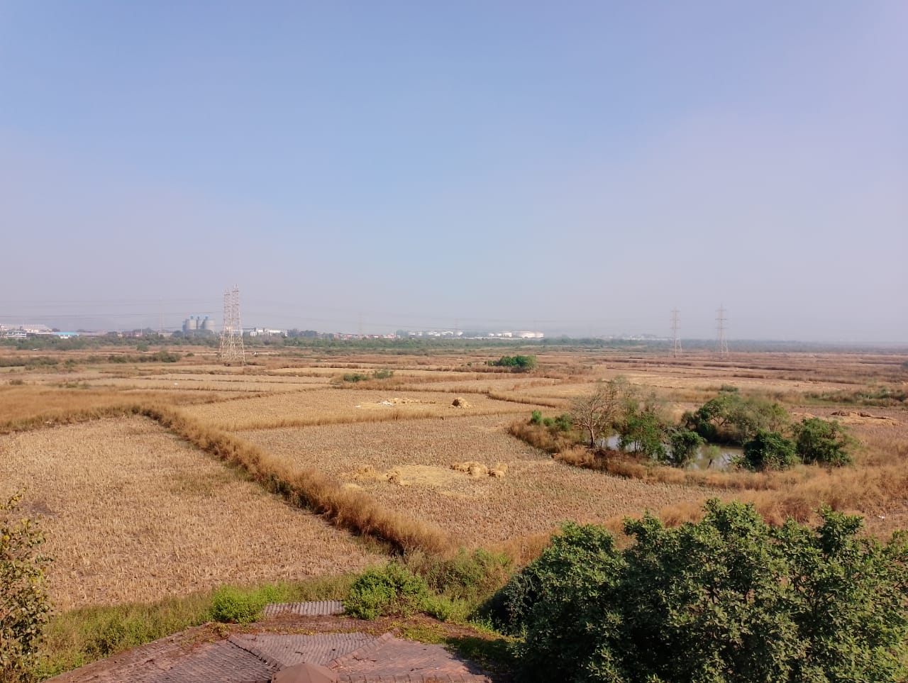 Resale 1089 Sq.Ft. Plot in Malad East Mumbai 5526674