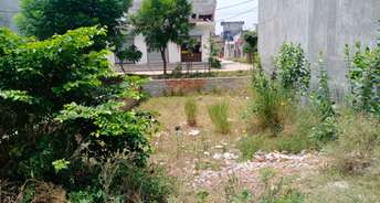  Plot For Resale in Kanpur Road Lucknow 5526813