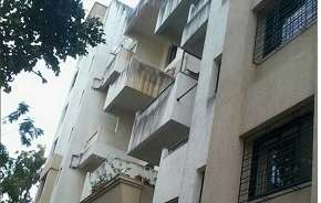 3 BHK Apartment For Resale in Tulip Apartment Kothrud Kothrud Pune 5528477
