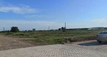 Commercial Industrial Plot 500 Sq.Yd. For Resale In Lalru Mohali 5528978