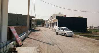  Plot For Resale in Sector 15 Greater Noida 5528989