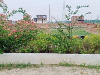  Plot For Resale in Mohan Road Lucknow 5530404