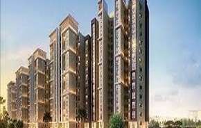 1 BHK Apartment For Resale in Shapoorji Pallonji Joyville Hinjewadi Hinjewadi Pune 5530432